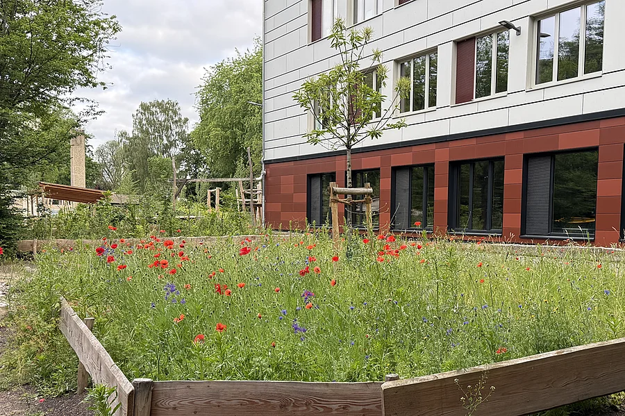 Schulhof mit Wildblumenbeet 